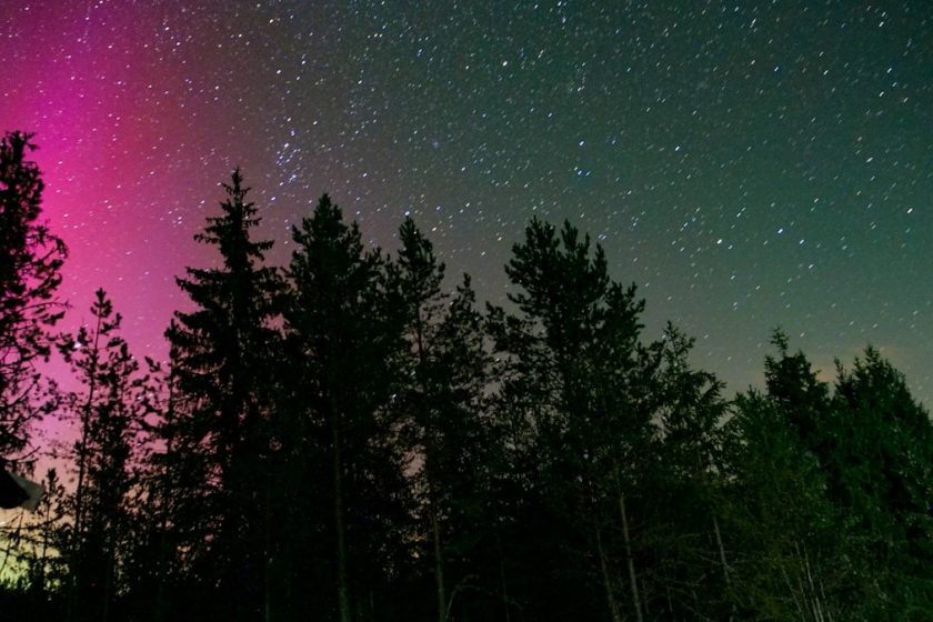 A purple and green aurora over a forest at night